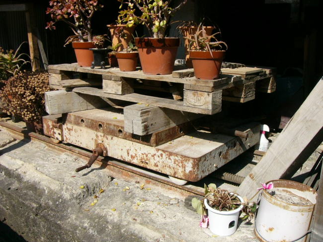 的場でみつけたトロッコ